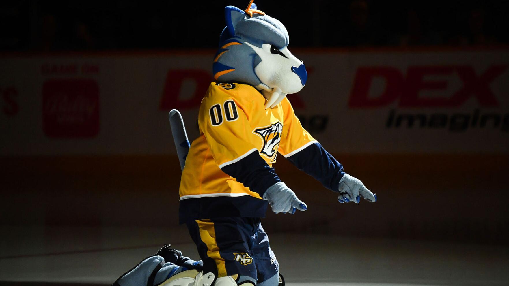 Gnash
